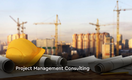 Project Management Consulting